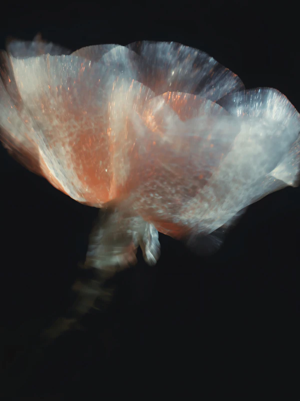Ethereal Flower Glow