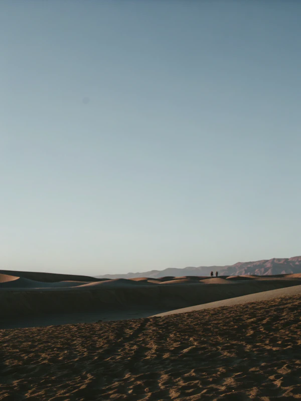 Golden Sand Dunes