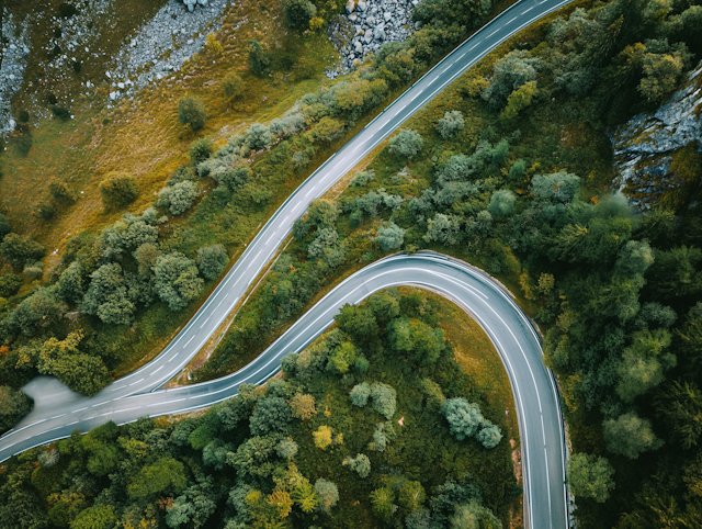 Serpentine Road Through Lush Foliage