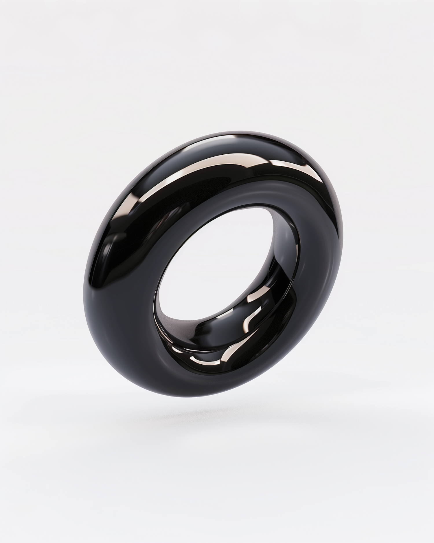 Glossy Black Torus