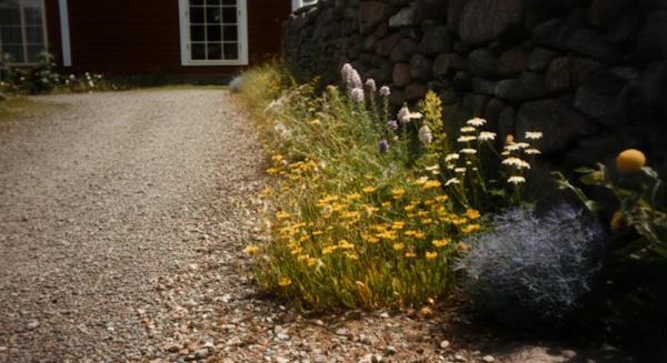 Rustic Pathway Scene