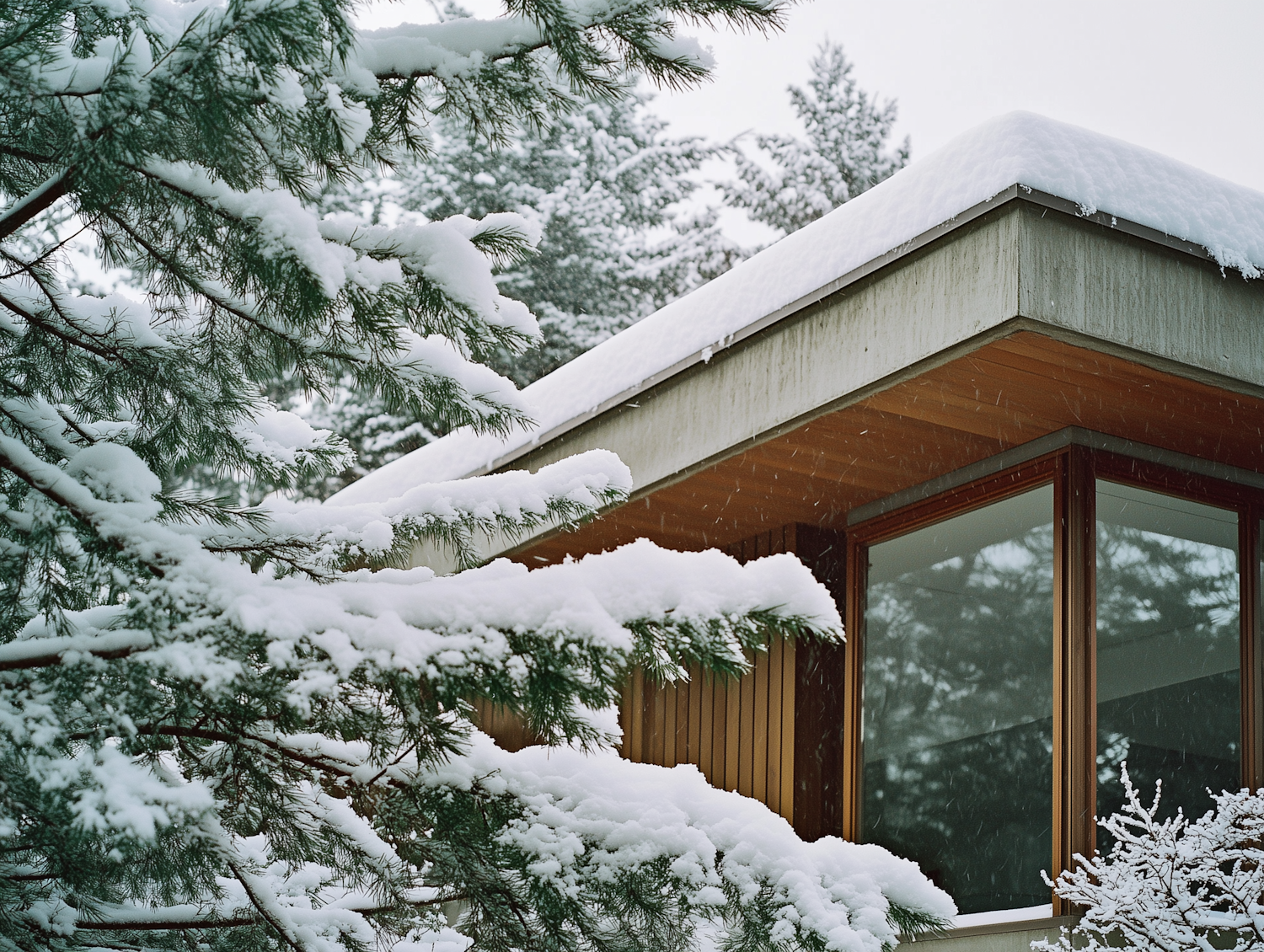 Serene Winter Architecture