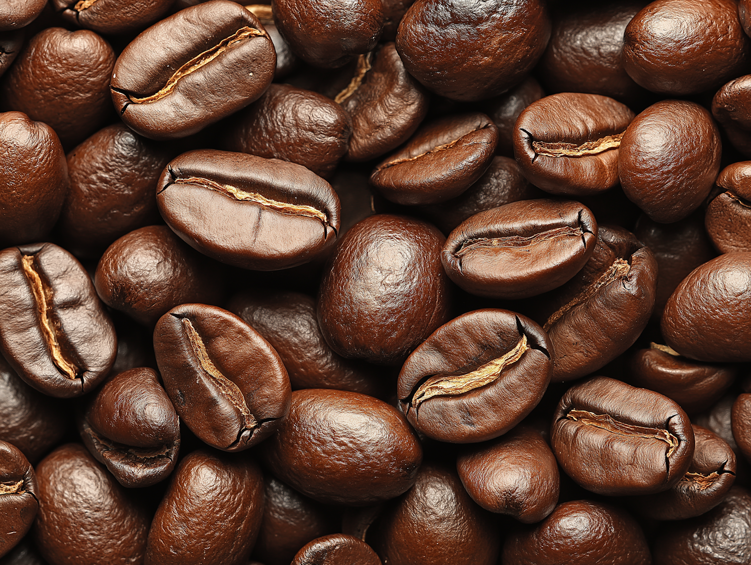 Close-Up of Roasted Coffee Beans