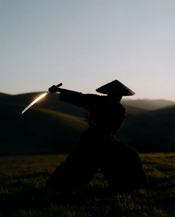 Silhouette with Sword