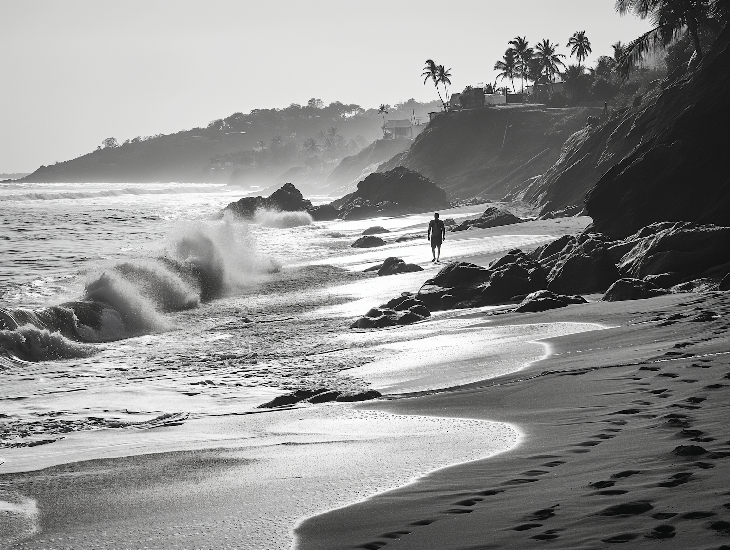 Monochromatic Serenity: Silhouette Beach Stroll