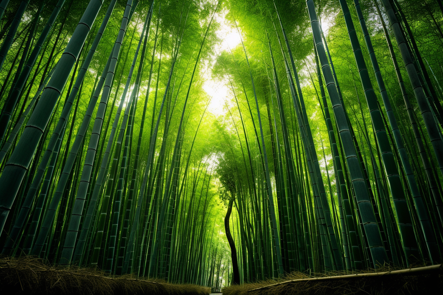 Serene Bamboo Haven