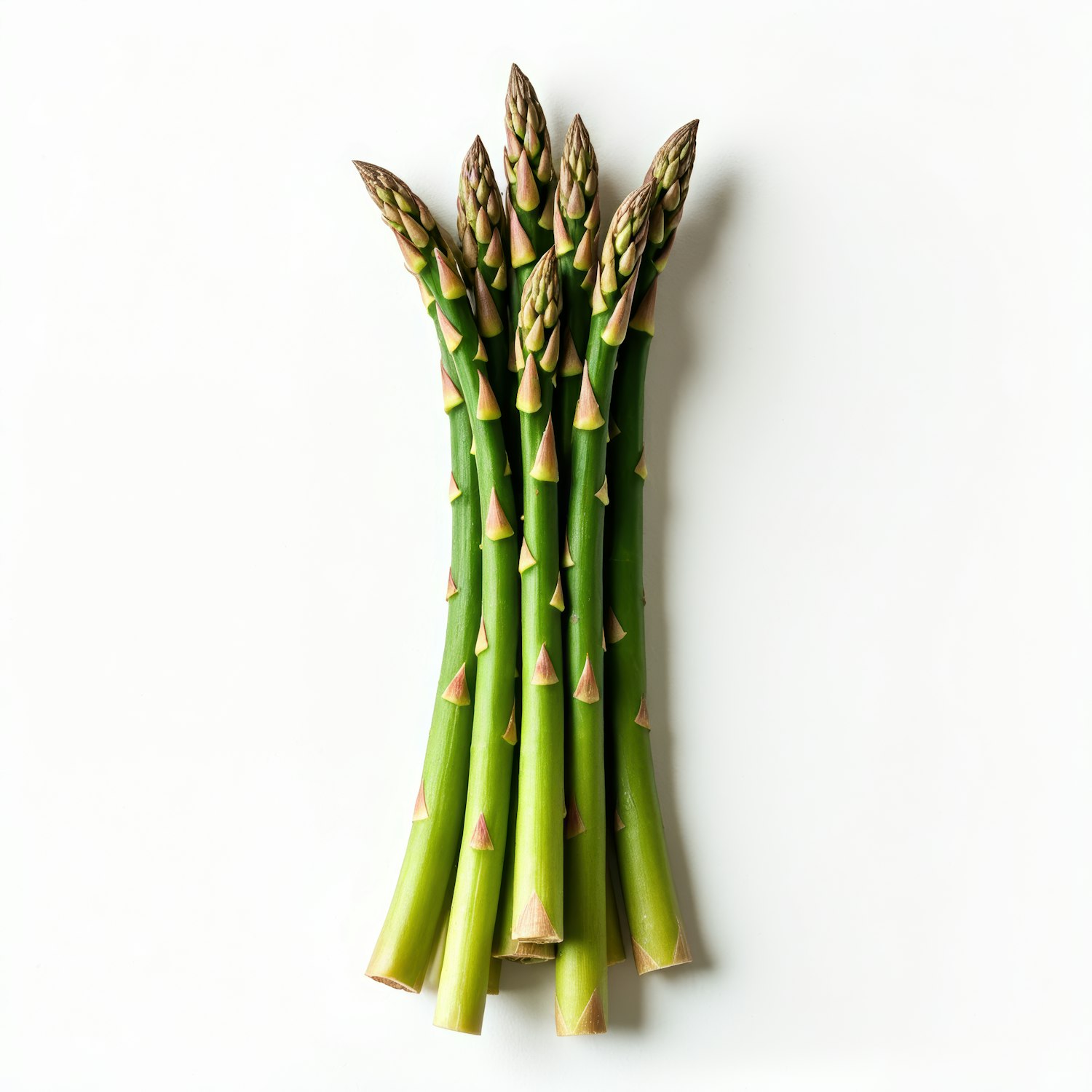 Fresh Asparagus Spears