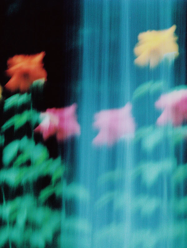 Abstract Floral Dream