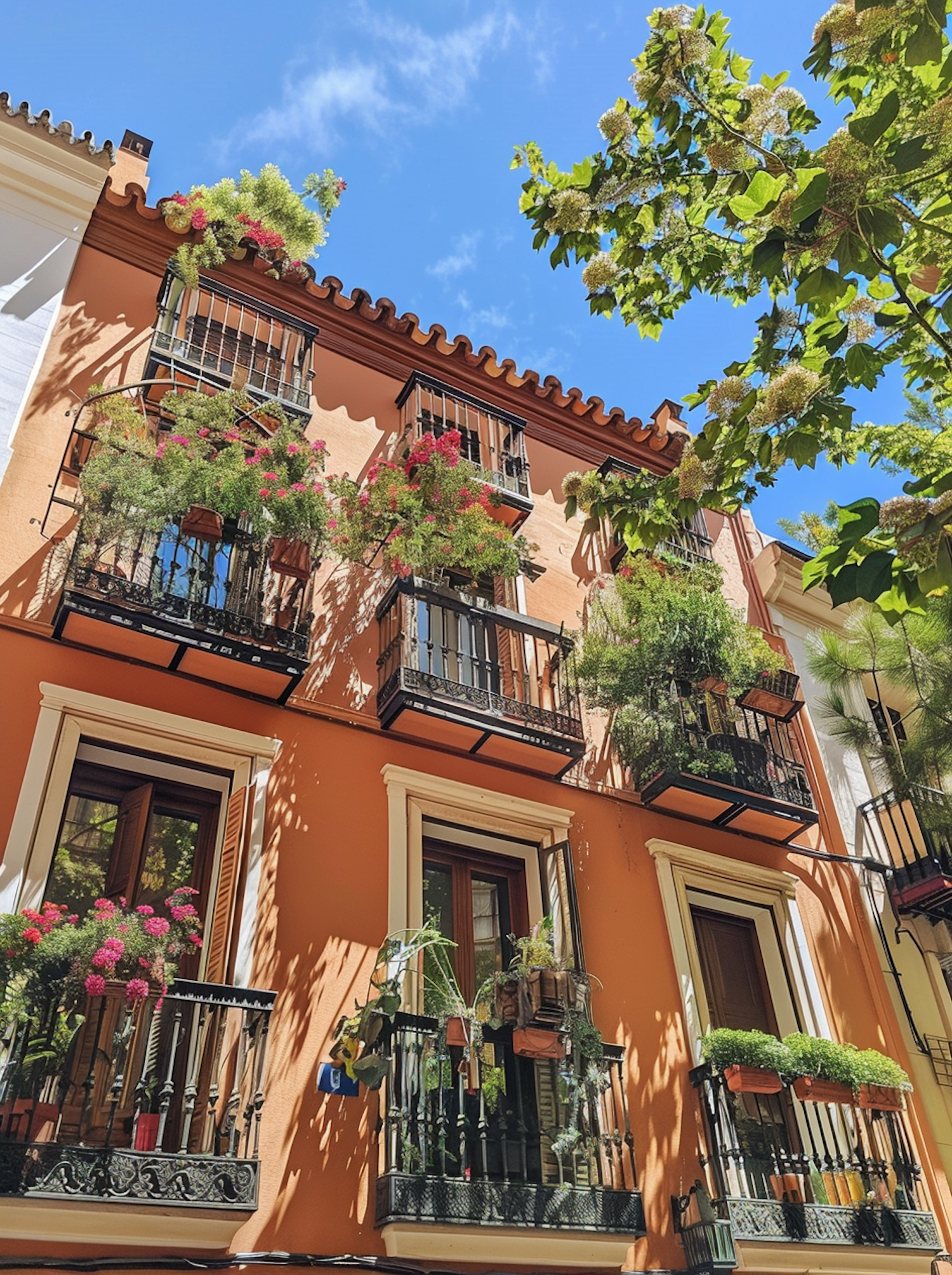 Spanish Architecture with Flowers