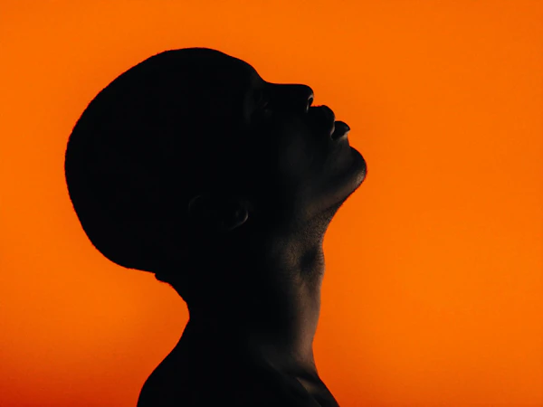 Silhouette in Orange