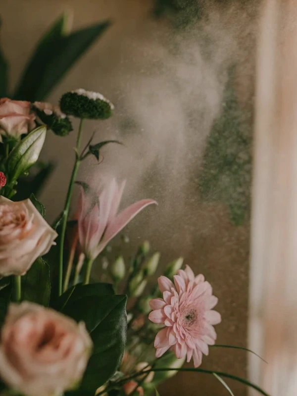 Delicate Floral Close-Up