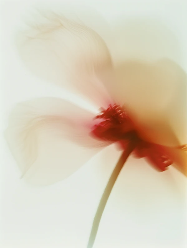 Ethereal Flower Close-Up
