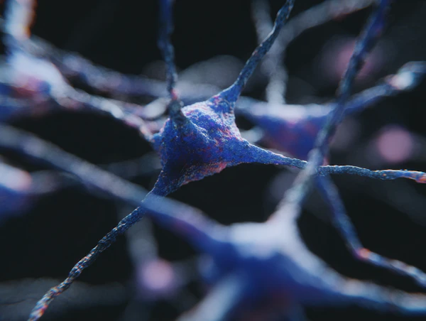 Neural Network Glow