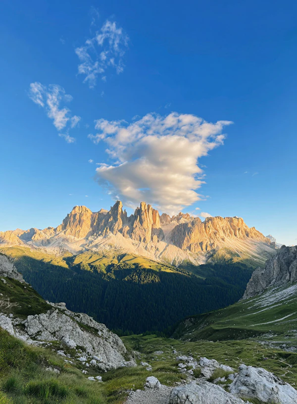 Majestic Mountain View