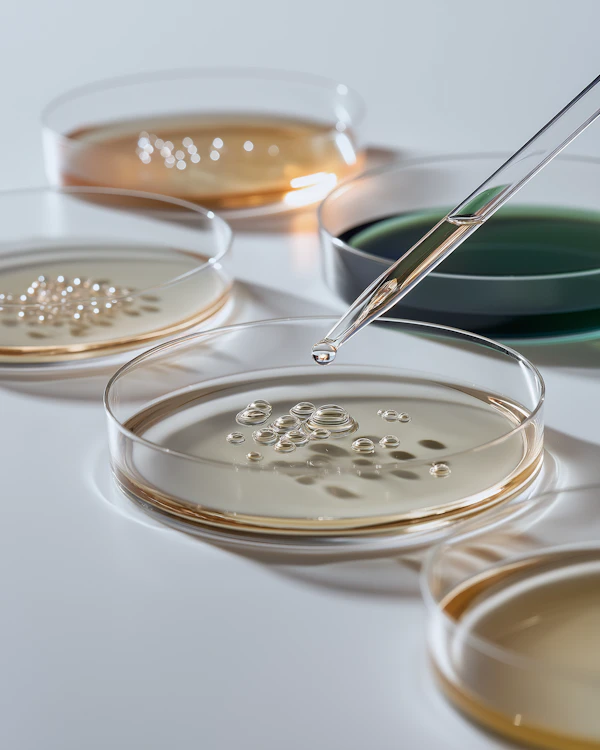 Colorful Petri Analysis