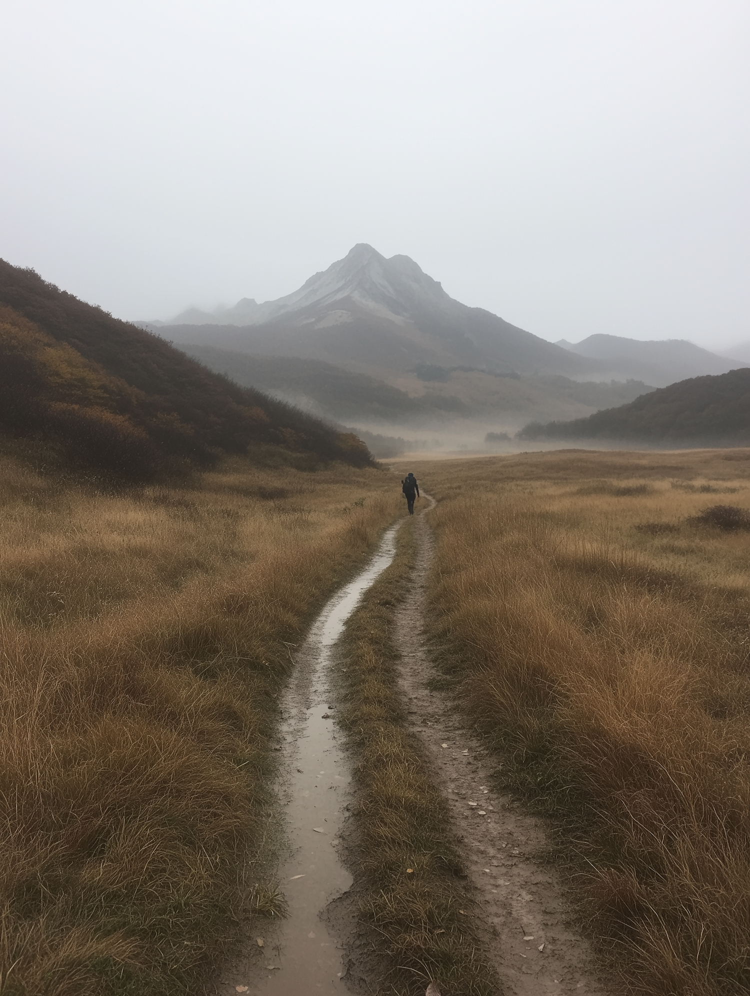 Solitary Figure in Misty Landscape