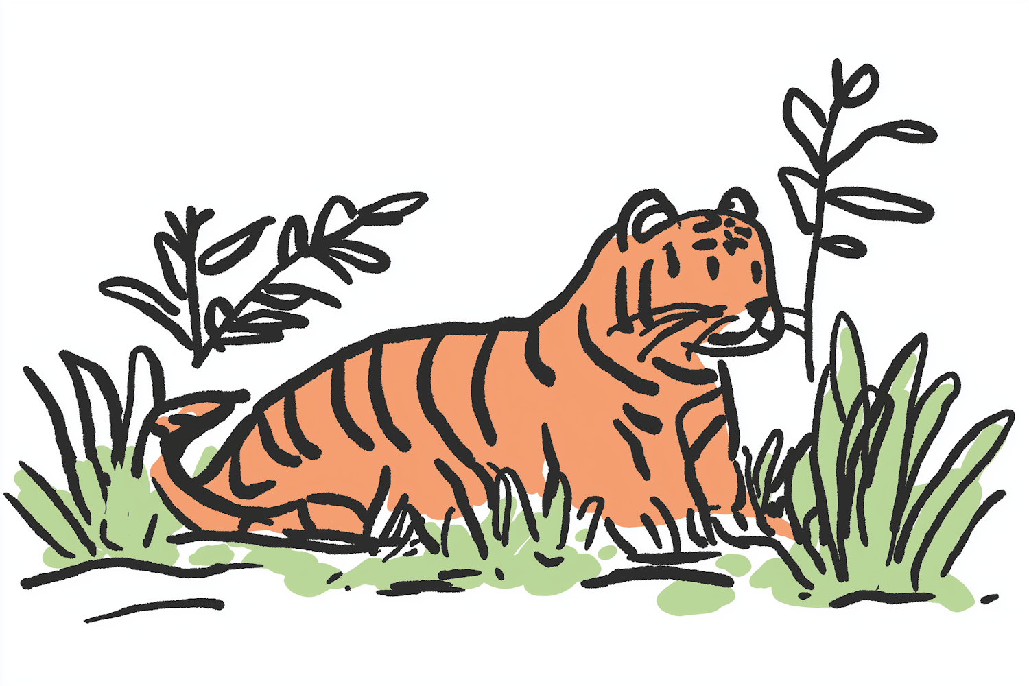 Stylized Tiger Illustration