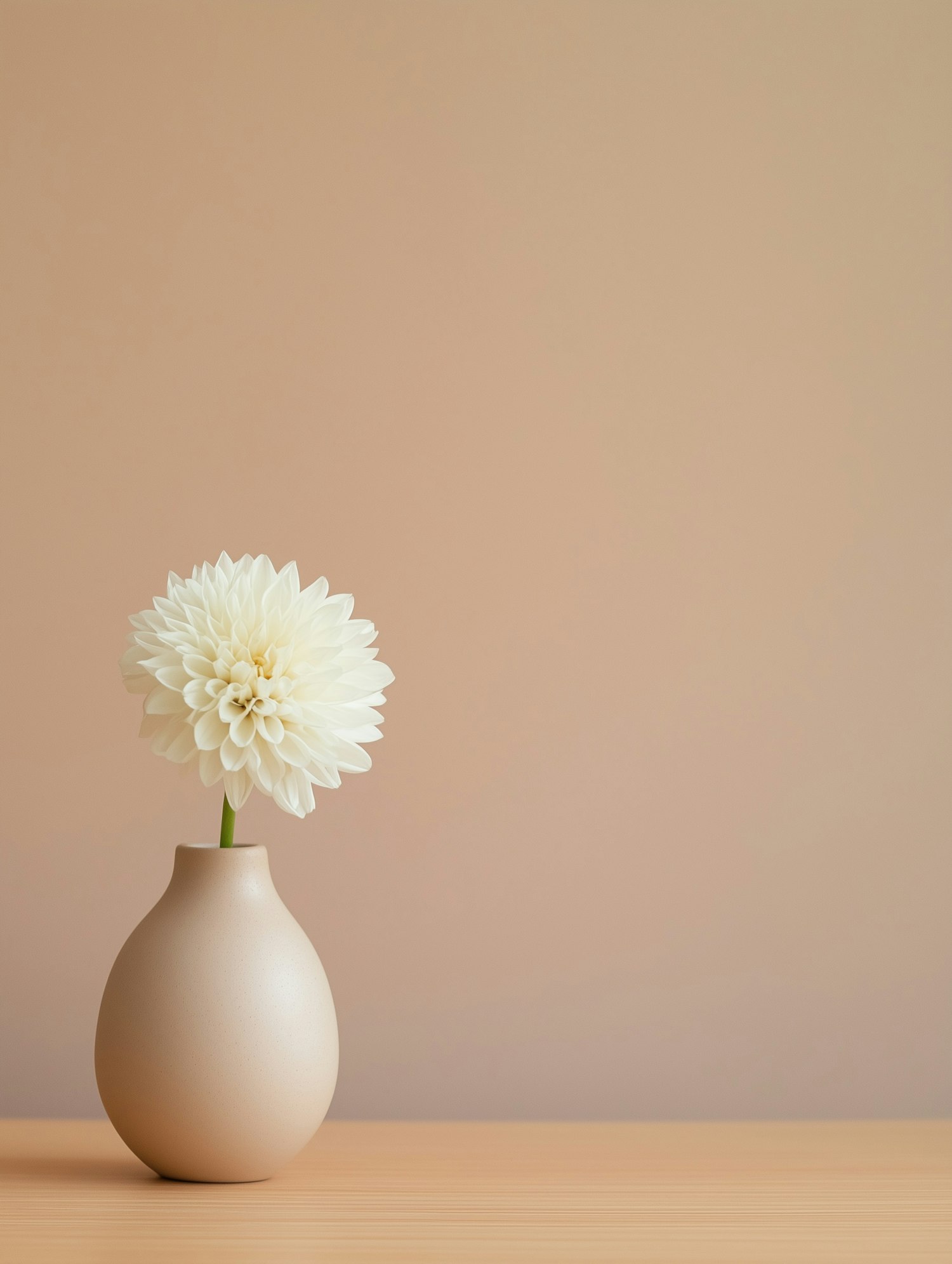 Minimalist White Dahlia in Vase