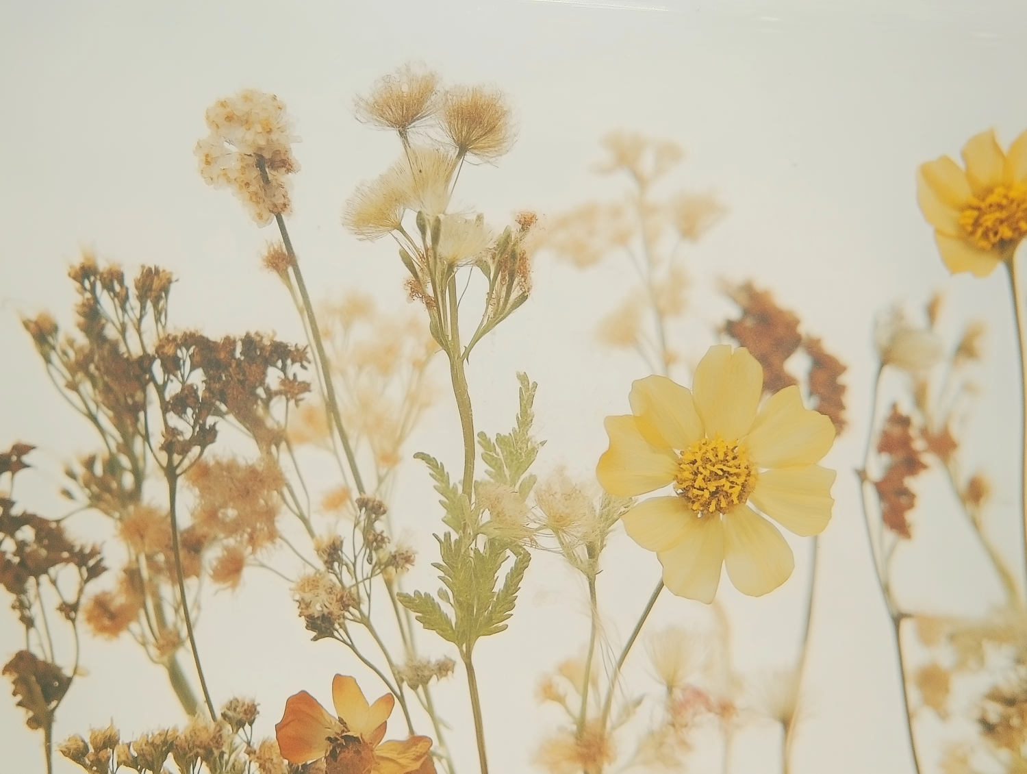 Wildflower Arrangement