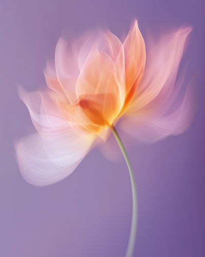 Ethereal Flower in Motion