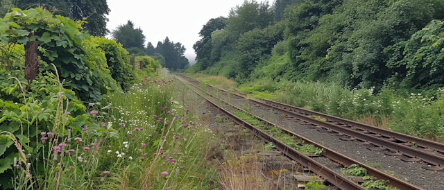 Serene Railway Landscape