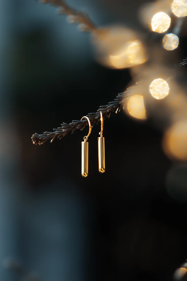 Minimalist Gold Earrings