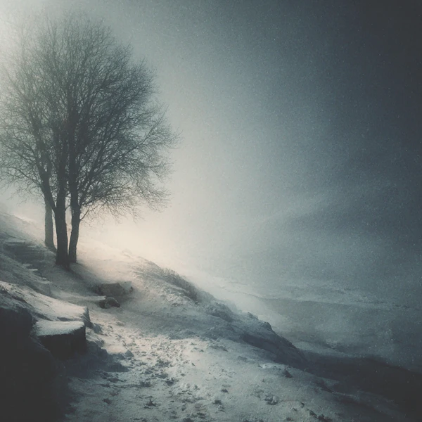 Winter Tree Serenity