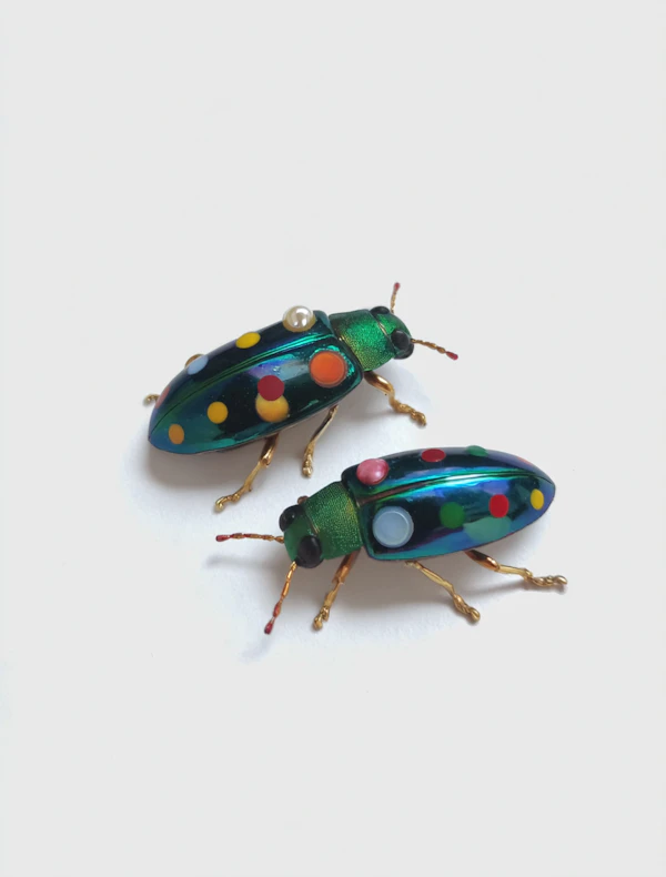 Beetle Brooches Display