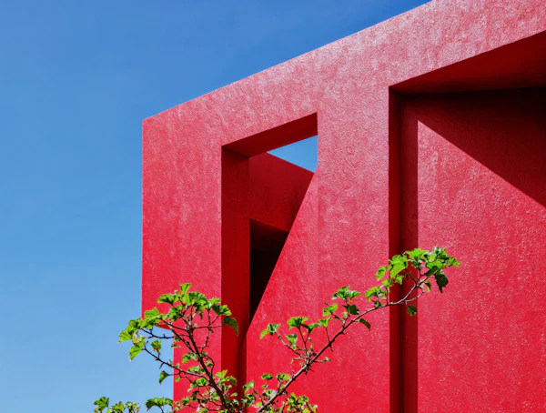 Red Wall and Green Plant