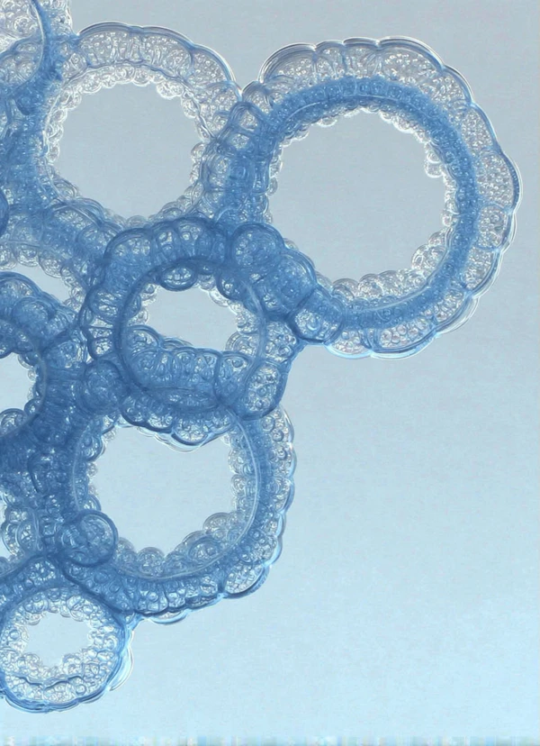 Interconnected Soap Bubbles