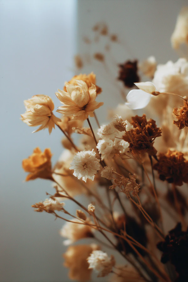Rustic Dried Flowers