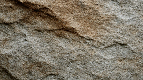 Textured Rock Surface