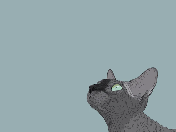 Stylized Grey Sphynx Cat Art
