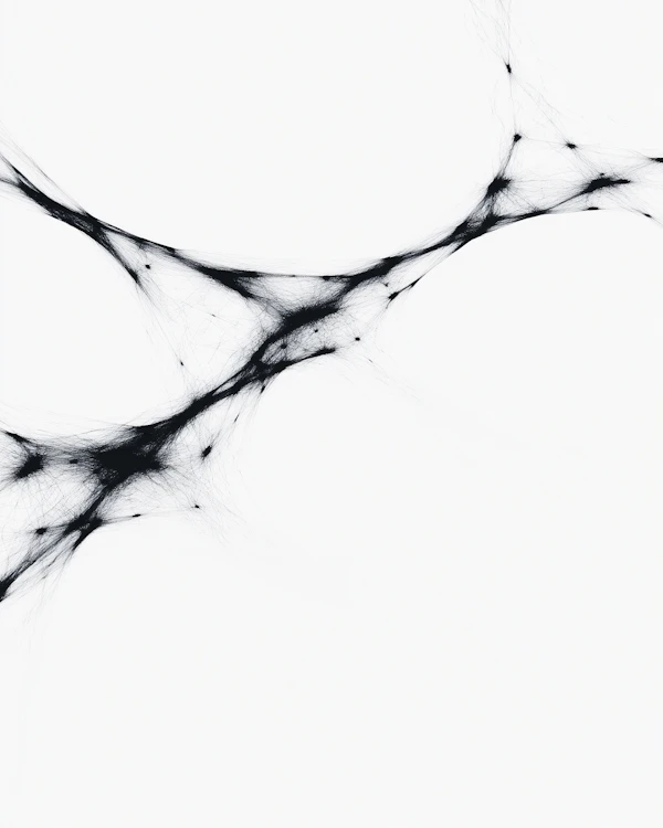 Abstract Neural Web