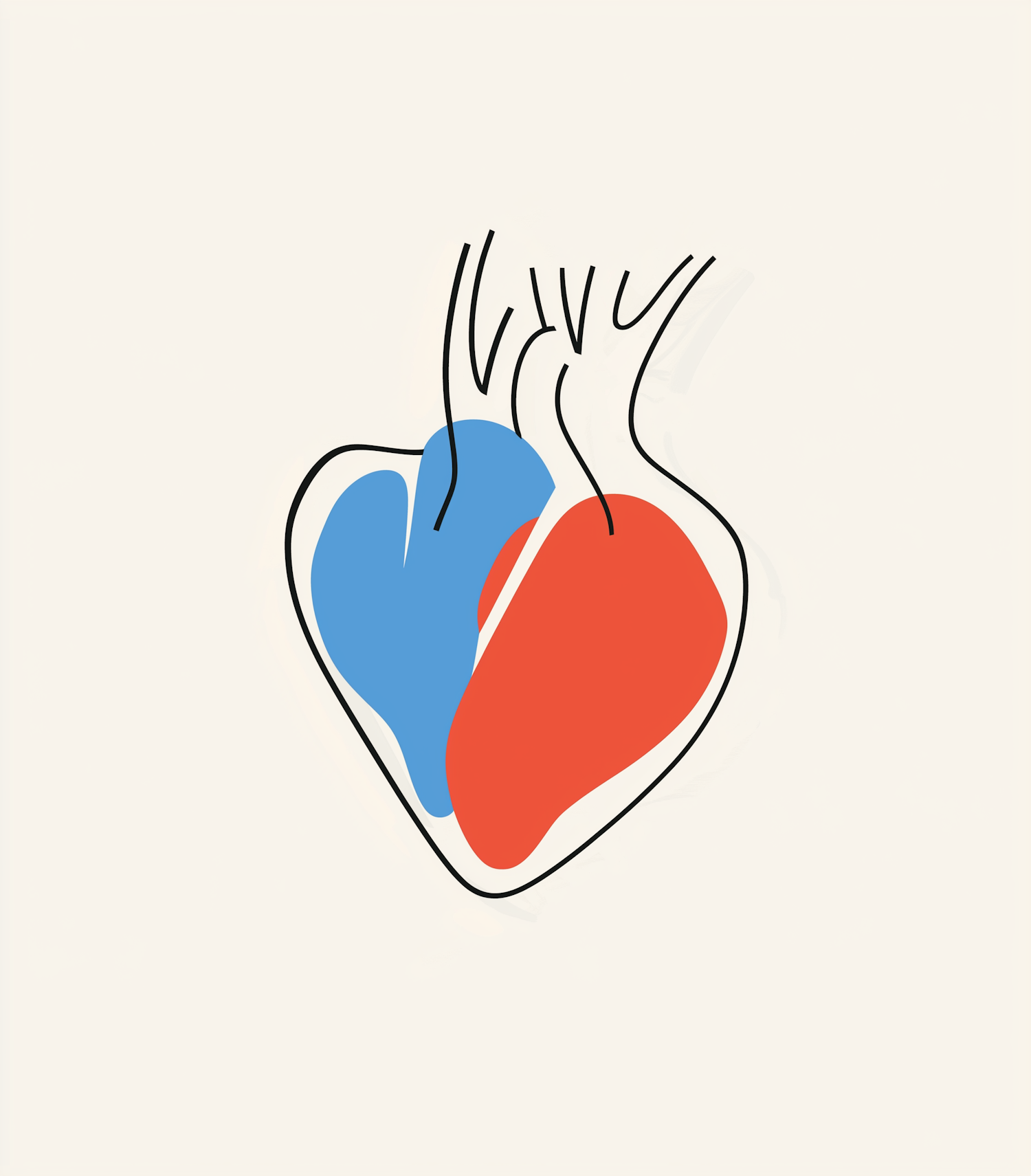 Stylized Human Heart