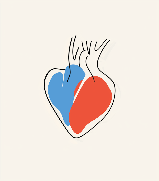 Stylized Human Heart