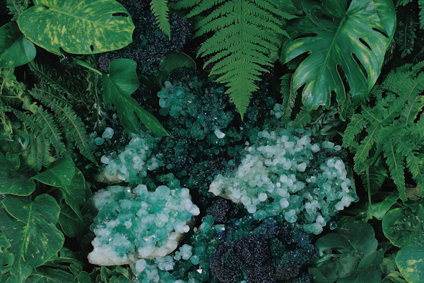 Tropical Green Crystal Display