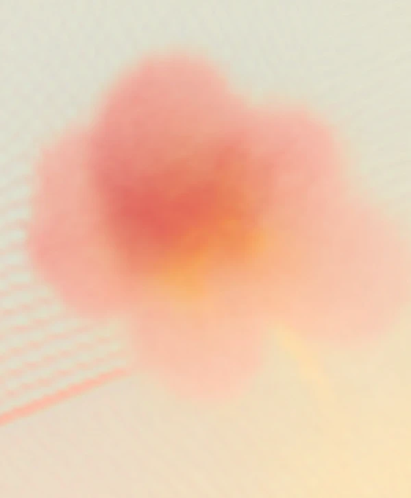 Dreamy Floral Abstract
