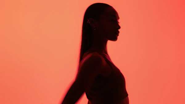 Silhouette in Gradient