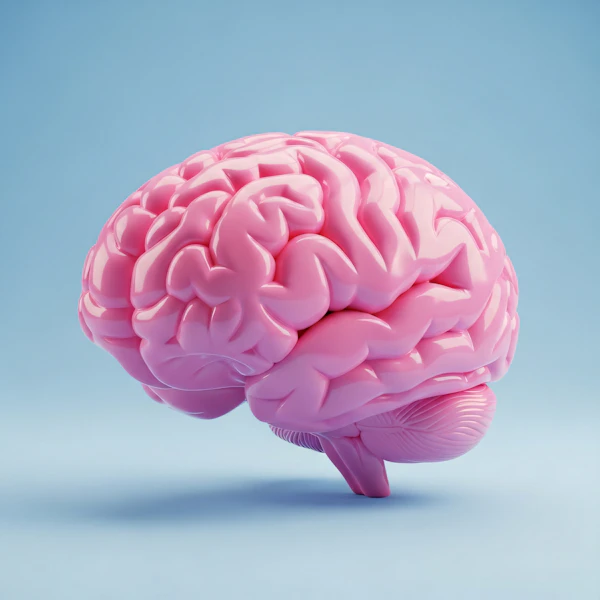 Vibrant Pink Brain