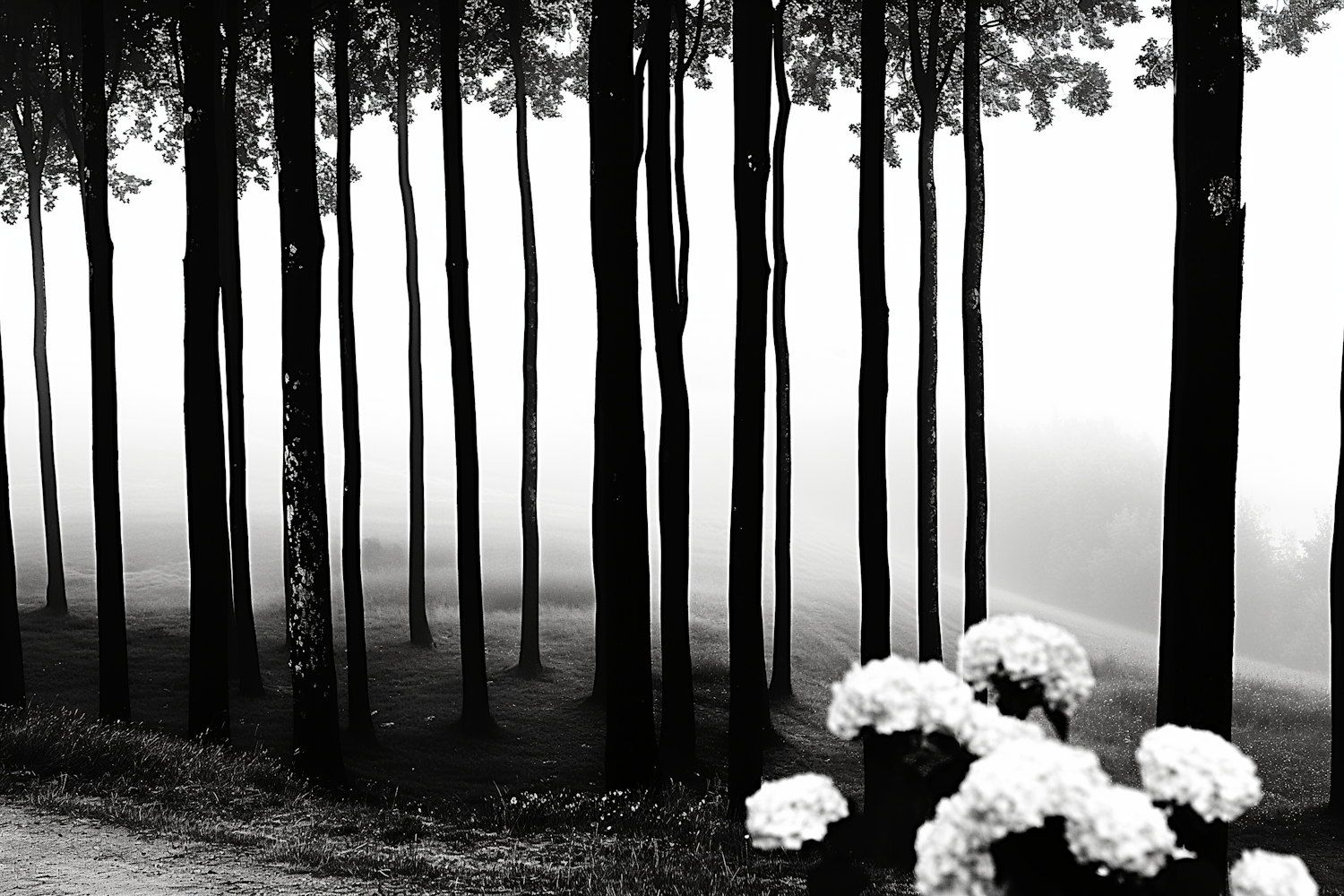 Monochromatic Forest Serenity