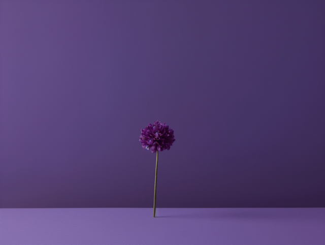 Solitary Violet Dahlia