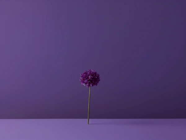 Solitary Violet Dahlia