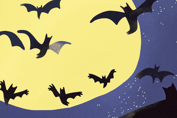 Bats Against the Moon