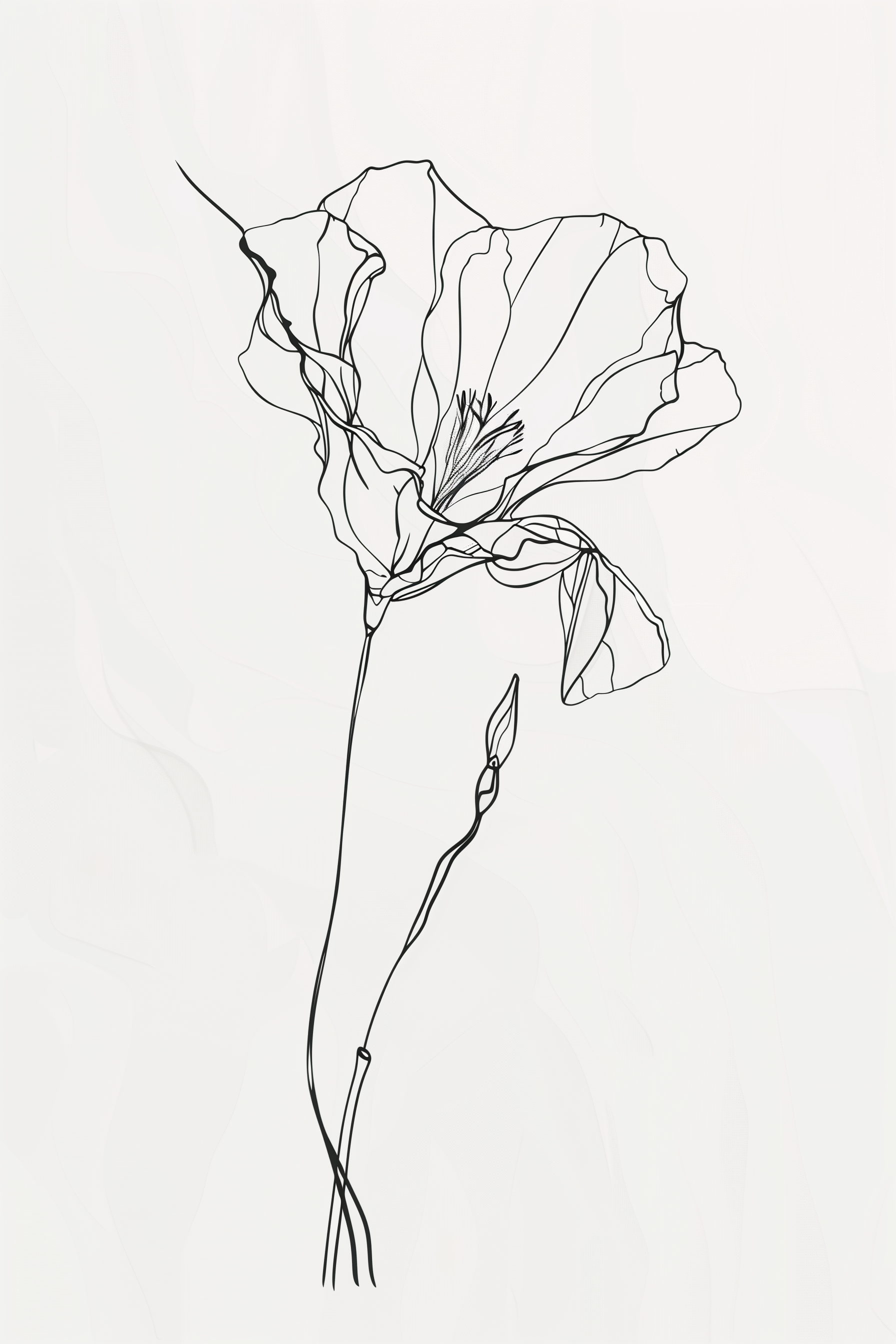 Delicate Line Drawing of a Flower Illustration on Lummi