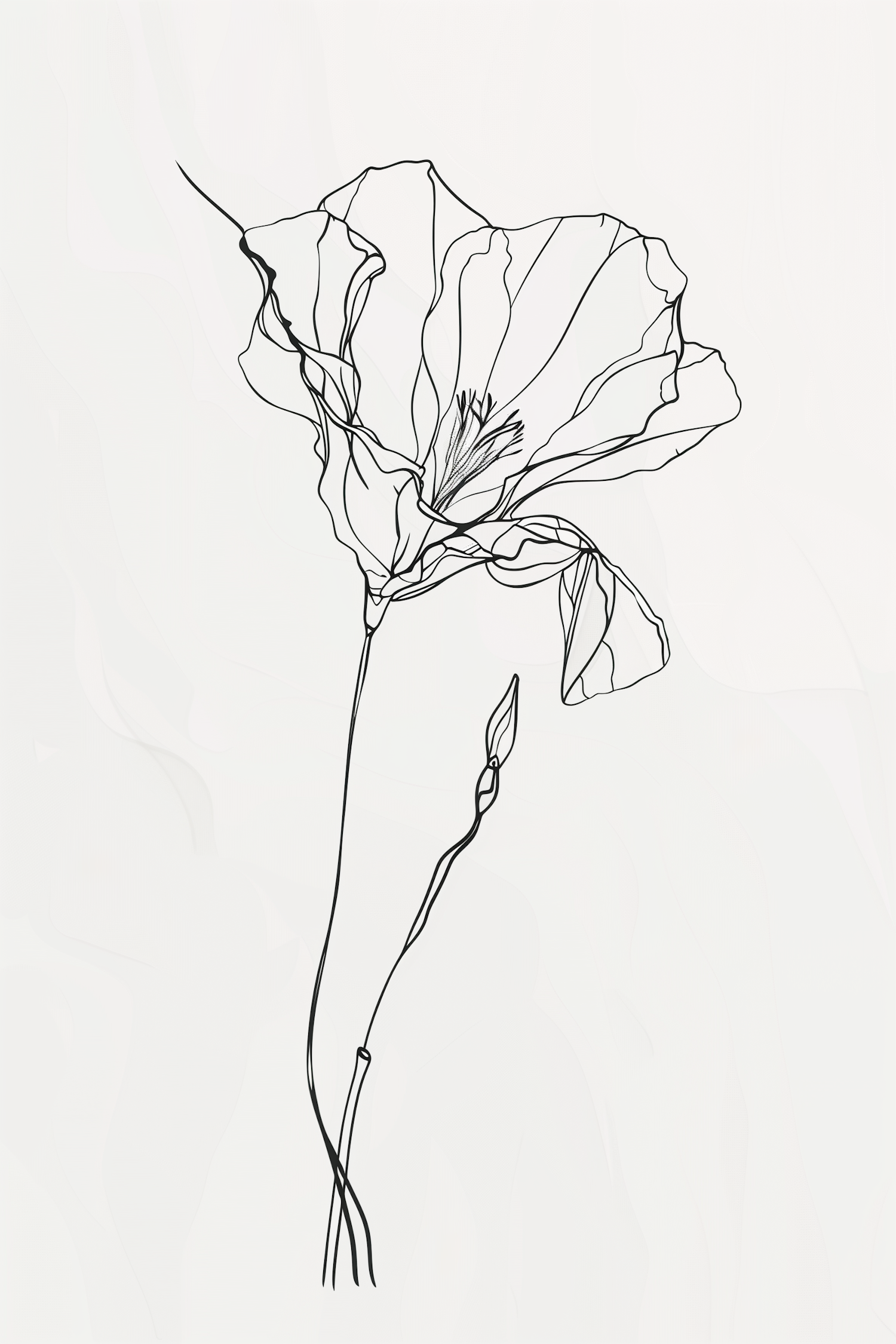 Delicate Line Drawing of a Flower