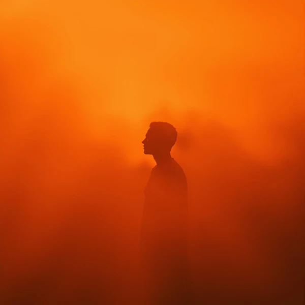 Silhouette Against Sunset