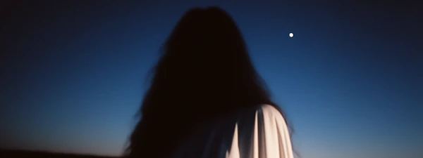 Twilight Silhouette