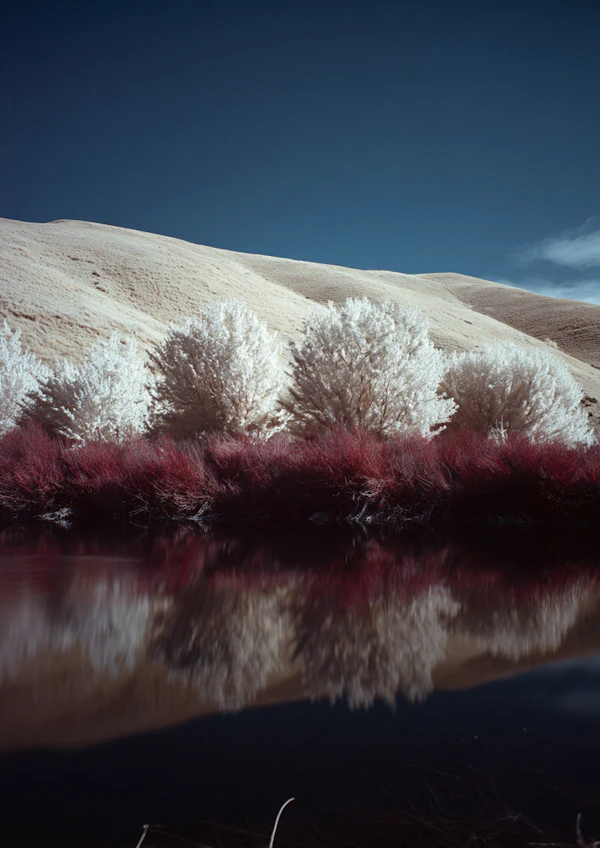 Serene Reflective Landscape