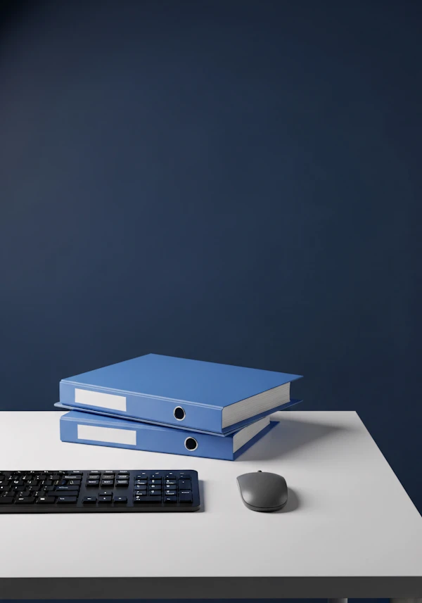Minimalist Office Setup